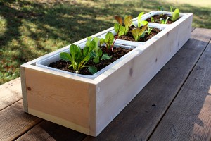 wooden-planter-boxes