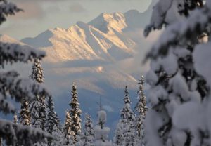 Shop Closed Feb. 17 for Family Day Weekend